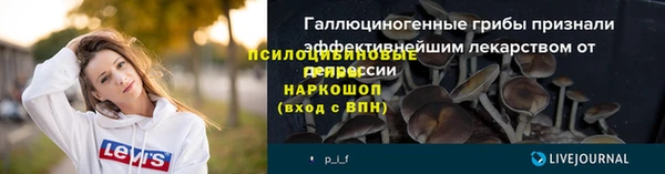 крисы Верхнеуральск