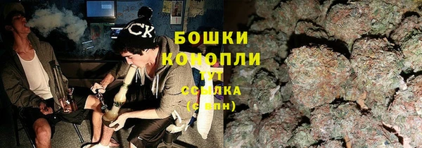СК Волосово