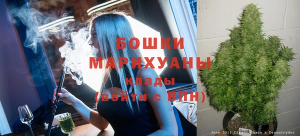 твердый Верхний Тагил